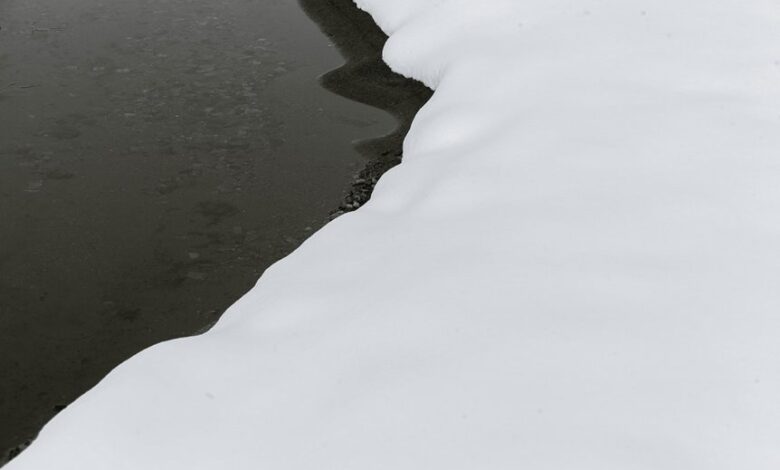 liquid small icicle prune