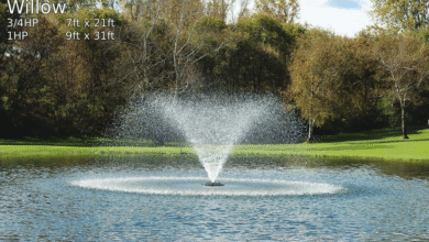 Why Every Large Pond Should Have a Floating Fountain