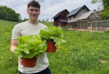 Backyard Farming 101: Growing Your Food at Home