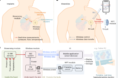 Biomedical