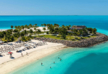 The Ultimate 2026 Guide to Safety and Marine Life in Protected Ocean Coves