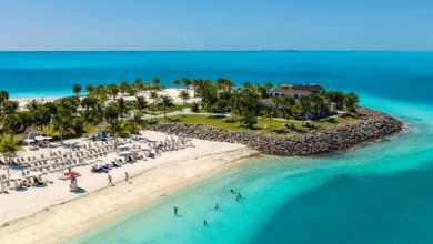 The Ultimate 2026 Guide to Safety and Marine Life in Protected Ocean Coves