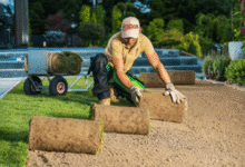 Finding the Best Turf Supplier for Your Penrith Garden