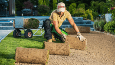 Finding the Best Turf Supplier for Your Penrith Garden