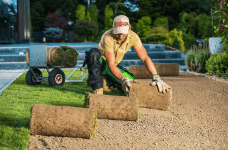 Finding the Best Turf Supplier for Your Penrith Garden